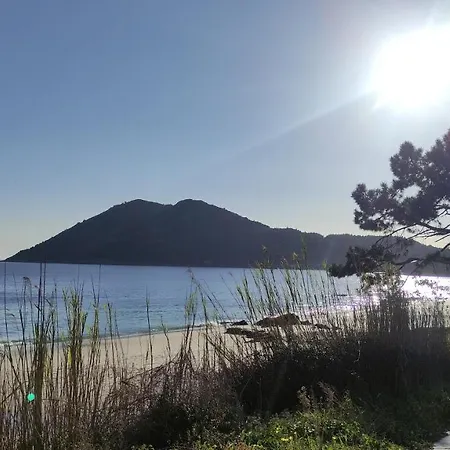 Hébergement de vacances Casa De Canteiro Louro - Muros