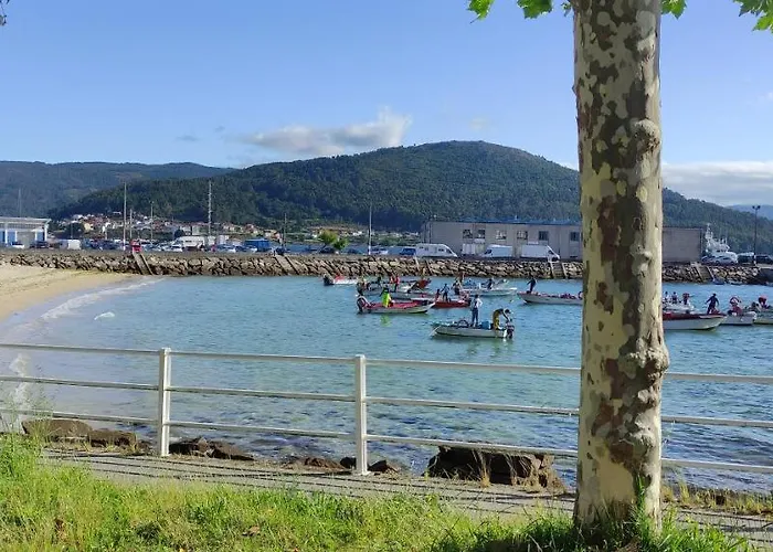 Casa De Canteiro Louro - *